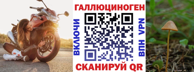 хочу   Тырныауз  Псилоцибиновые грибы мицелий 