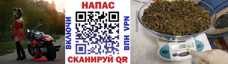 Бошки марихуана план  Тырныауз 